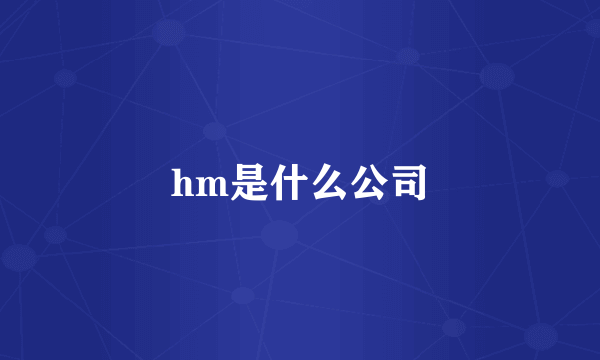 hm是什么公司