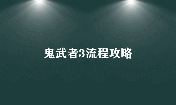 鬼武者3流程攻略