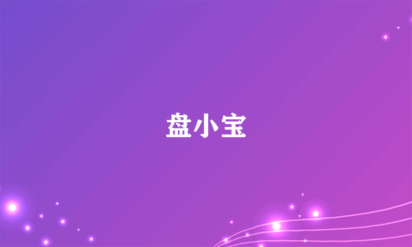 盘小宝