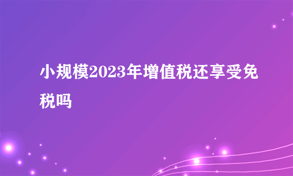 小规模2023年增值税还享受免税吗