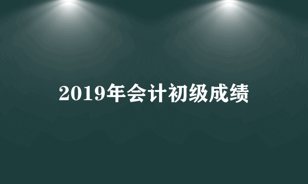 2019年会计初级成绩