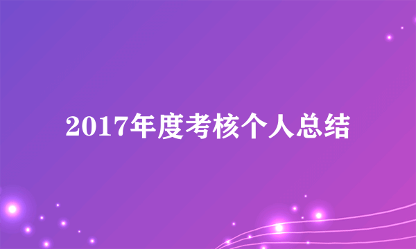 2017年度考核个人总结