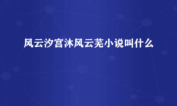 风云汐宫沐风云芜小说叫什么