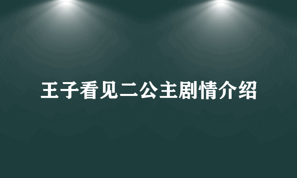 王子看见二公主剧情介绍