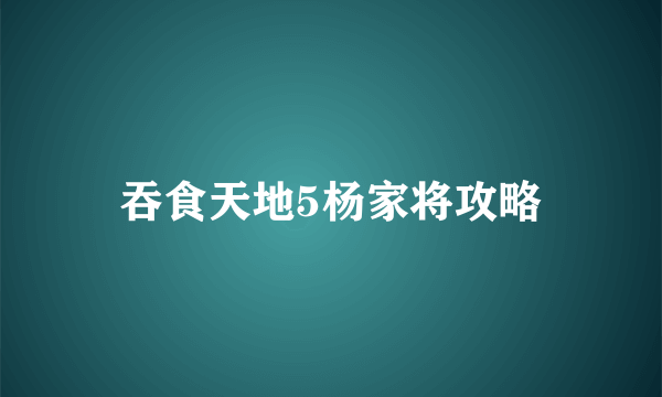 吞食天地5杨家将攻略