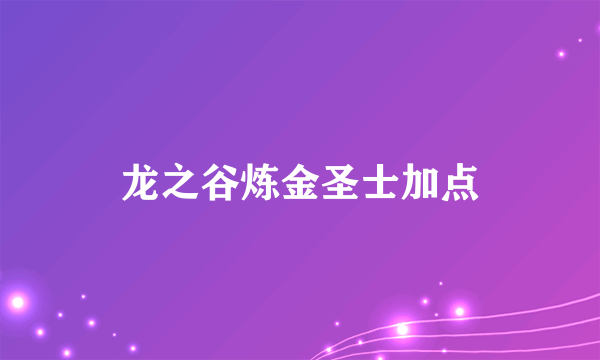 龙之谷炼金圣士加点