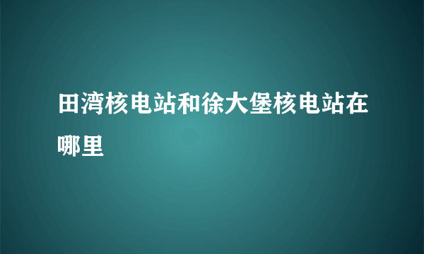 田湾核电站和徐大堡核电站在哪里