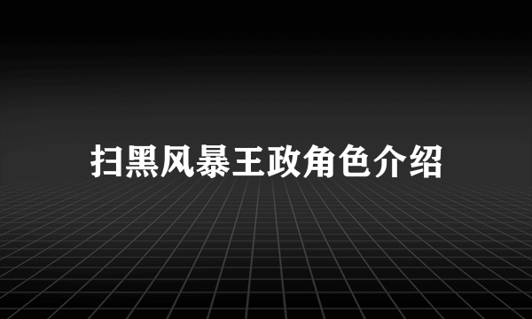 扫黑风暴王政角色介绍