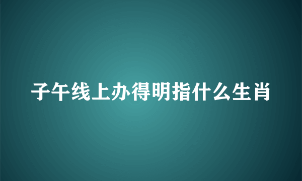 子午线上办得明指什么生肖