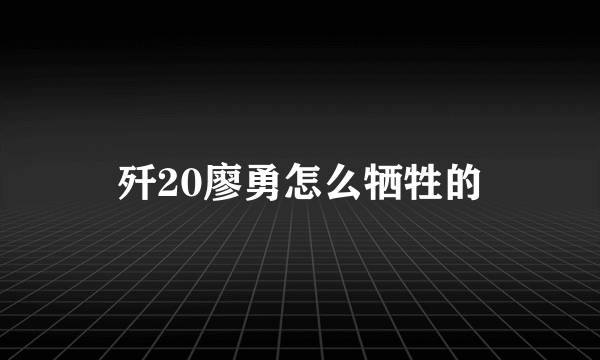 歼20廖勇怎么牺牲的