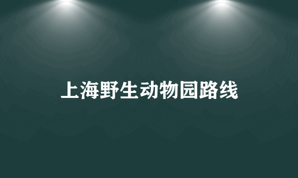 上海野生动物园路线