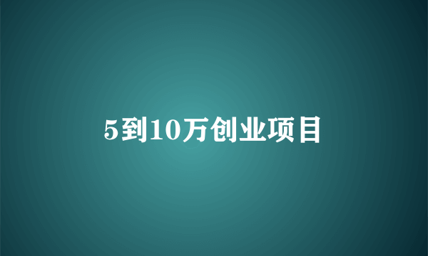 5到10万创业项目