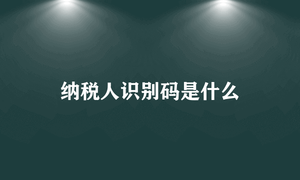 纳税人识别码是什么