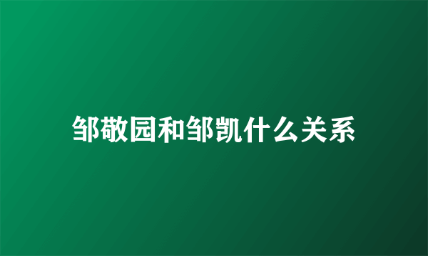 邹敬园和邹凯什么关系