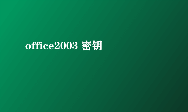 office2003 密钥