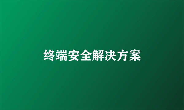 终端安全解决方案