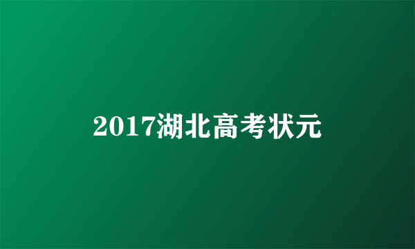 2017湖北高考状元