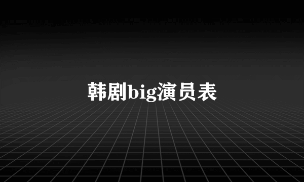 韩剧big演员表