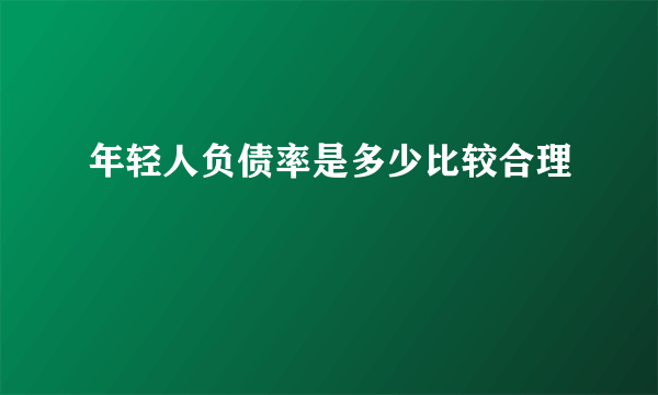 年轻人负债率是多少比较合理