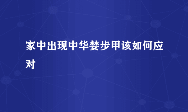 家中出现中华婪步甲该如何应对