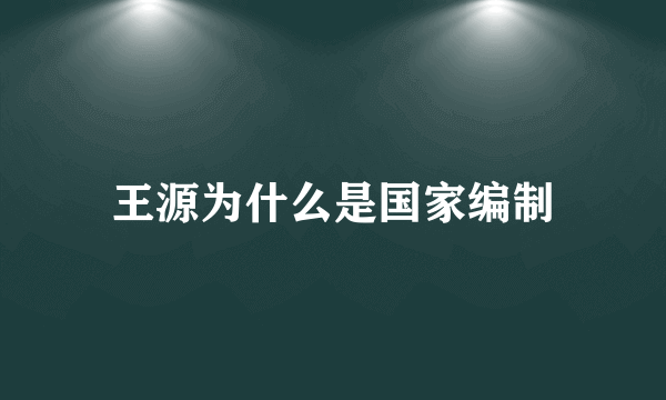 王源为什么是国家编制