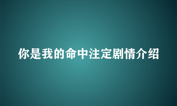 你是我的命中注定剧情介绍