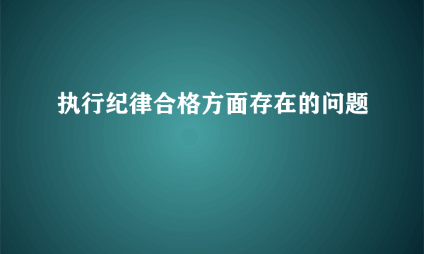 执行纪律合格方面存在的问题