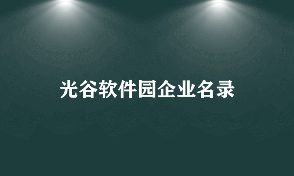 光谷软件园企业名录