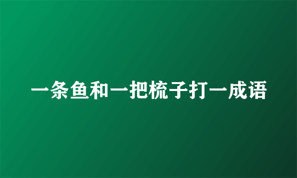 一条鱼和一把梳子打一成语