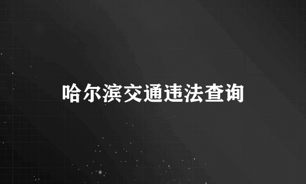 哈尔滨交通违法查询