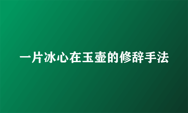 一片冰心在玉壶的修辞手法