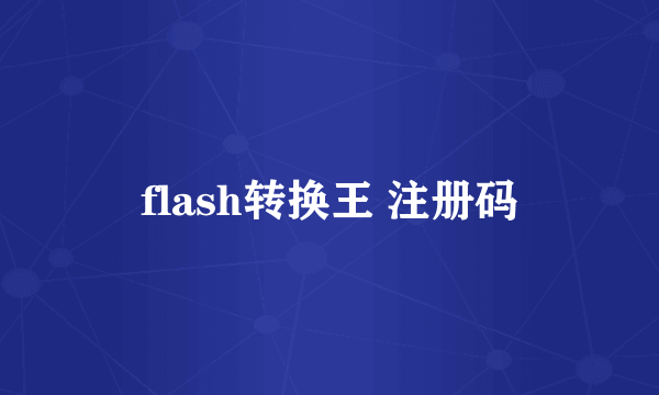 flash转换王 注册码