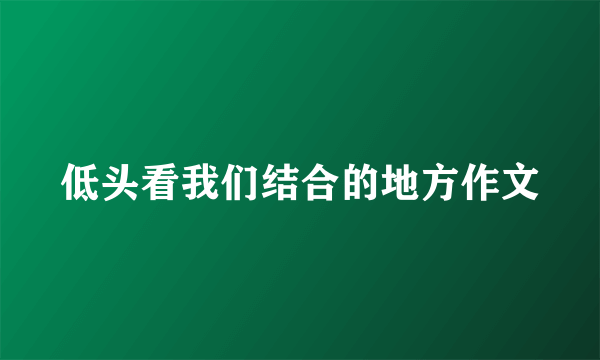 低头看我们结合的地方作文