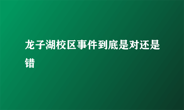 龙子湖校区事件到底是对还是错