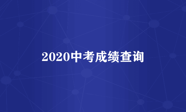 2020中考成绩查询