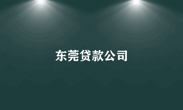 东莞贷款公司