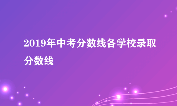 2019年中考分数线各学校录取分数线