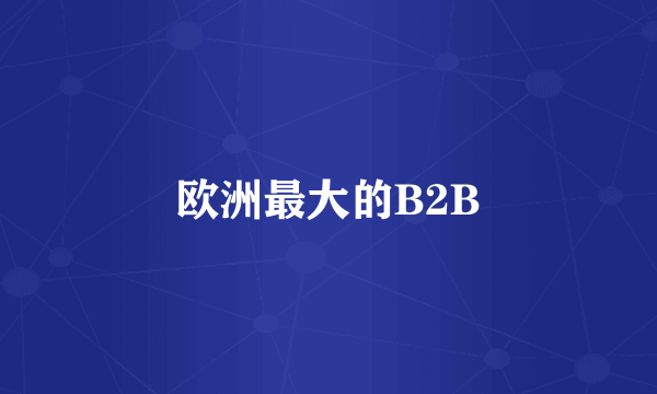 欧洲最大的B2B