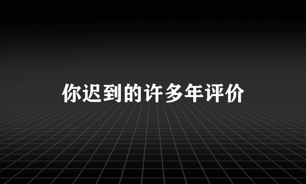 你迟到的许多年评价