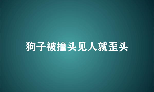 狗子被撞头见人就歪头