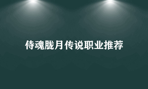 侍魂胧月传说职业推荐