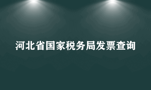 河北省国家税务局发票查询