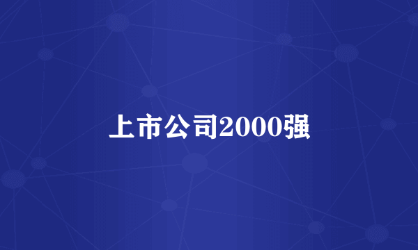 上市公司2000强