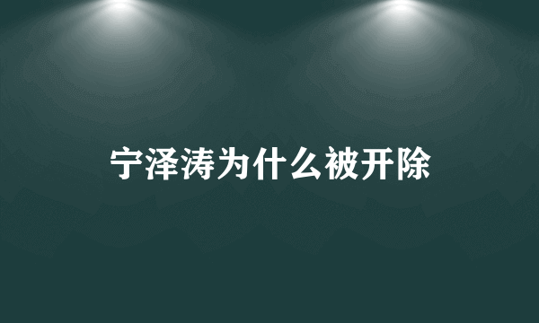 宁泽涛为什么被开除