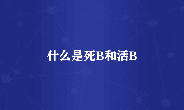 什么是死B和活B