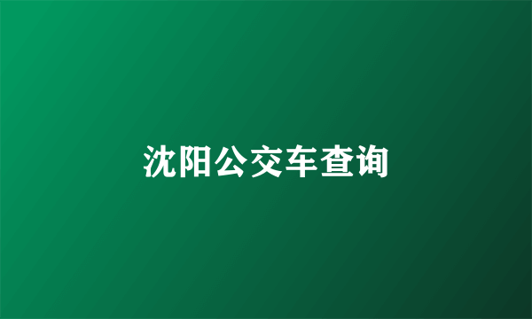 沈阳公交车查询