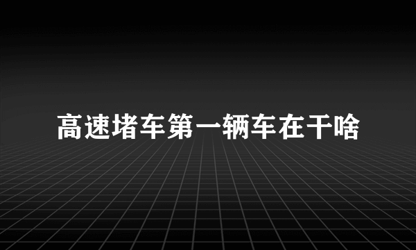 高速堵车第一辆车在干啥