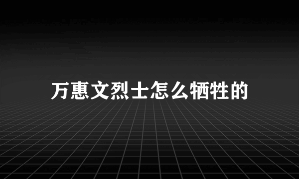 万惠文烈士怎么牺牲的