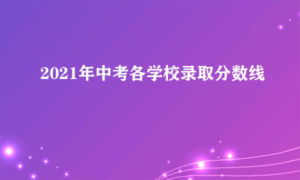 2021年中考各学校录取分数线