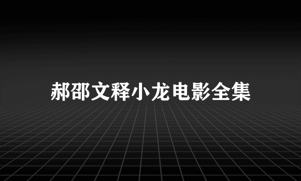 郝邵文释小龙电影全集